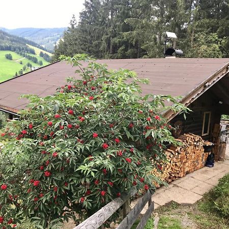 Wasserfallhuette Saalbach Exterior photo