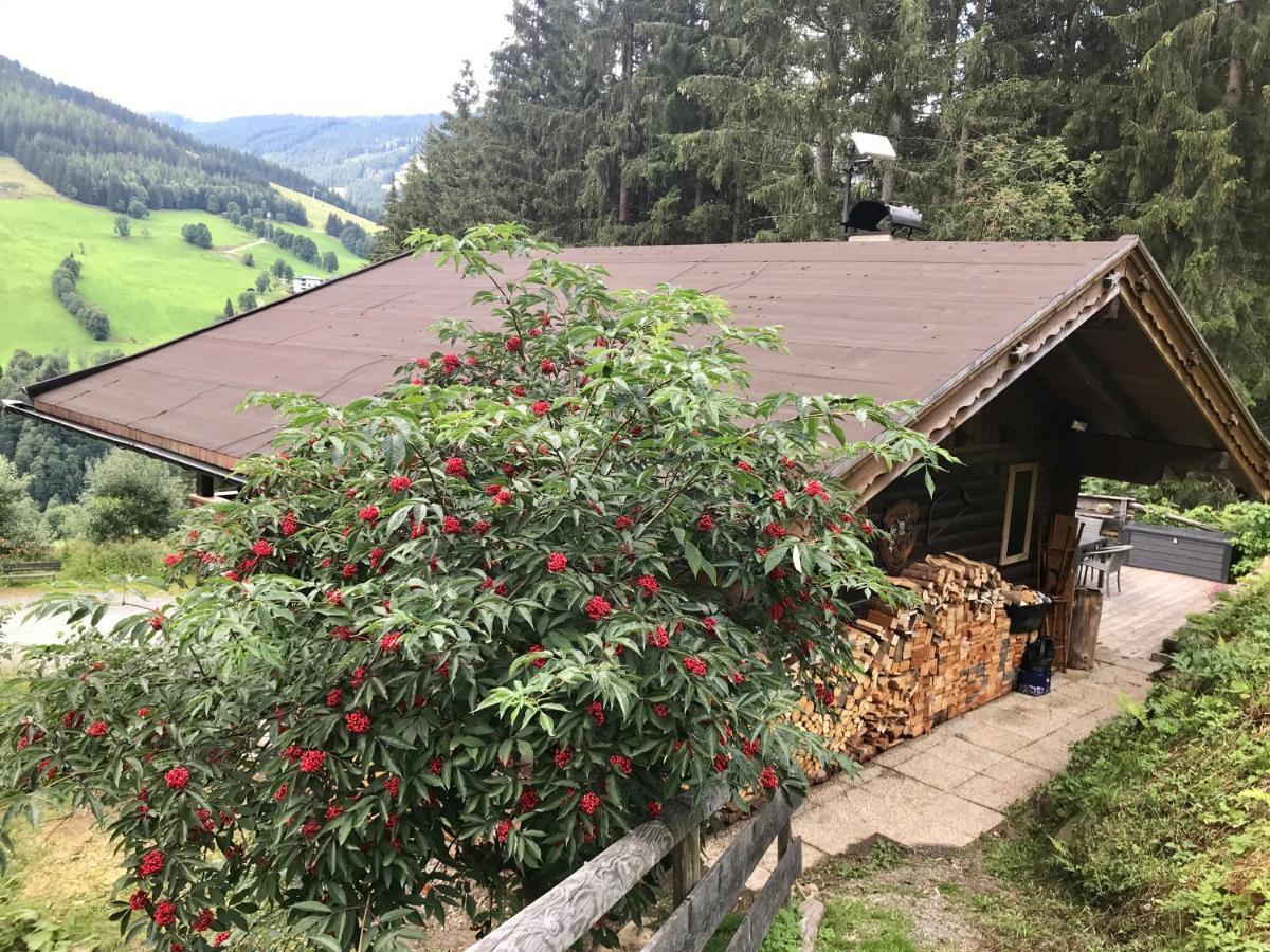 Wasserfallhuette Saalbach Exterior photo